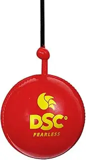 DSC Hanging Synthetic Cricket Ball (Red)