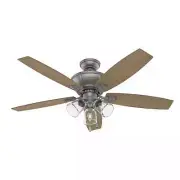 Hunter 52 in Darlington Indoor Ceiling Fan with LED Edison Light Pull Chain