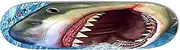 RazorX Shark ABEC3 Skateboard, 31-Inch