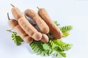 Buy Tamarind Fruit Trees in Australia (Tamarind indica) [Category]