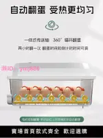 智能全自動孵化器家用孵化箱小型雞蛋蘆丁雞鴨鵝鴿子鵪鶉孵化機