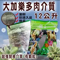 在飛比找蝦皮購物優惠-大加樂多肉專用介質12L(有顆粒)*白嫩勇健的根系 *葉孵、