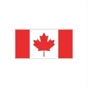 30 Sheets Canada Flag Temporary Tattoos World Cup European Cup Football Face Tat