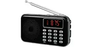 Portable FM Radio MP3 Player LED Flashlight Loud Speaker And AUX Input