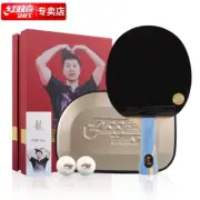 DHS Hurricane Long Ma Long Table Tennis 5 Ply Blade Paddle Racket Ping Pong Gift