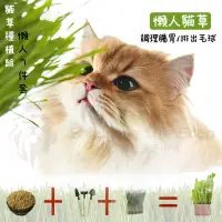 在飛比找蝦皮購物優惠-【獅子葛格生活小舖】 DIY貓草種植組 貓草種植 小麥草種子