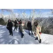 Save 8.00%! Mount Buller Snow Day Boutique Trip - Max 11 People