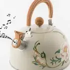 Stainless Steel Teapot Water Kettle Coffee Pot Gas Induction Cooker