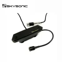 在飛比找momo購物網優惠-【Skysonic】T902 雙系統 木吉他 響孔拾音器 可