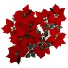 2M 10 LED Christmas Tree Poinsettia Fairy String Party Lights Lamp Xmas mu