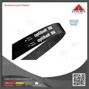 Optibelt V-Ribbed Belt For Ford Australia WS 1.6L 1560cc - 6PK803 (for: Peugeot)