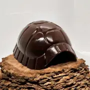 Small Hide Turtle Shell Brown Plastic Reptile Snakes Lizards Gecko Cute