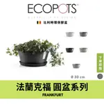 ECOPOTS比利時環保盆 法蘭克福FRANKFURT寬口盆 30CM 現貨 塊根 花盆｜POTTI PIANTA