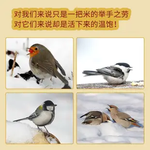 【限時促銷】鳥餵食器 室外小鳥餵鳥器 陽臺自動投食器 佈施行善 懸掛式野外防雨高顔值戶外佈施鳥雀