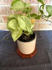 Handmade Recycled Timber Pot Plant Stand – Australian Railway Sleeper Offcuts