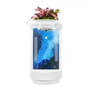 Small Fish Tank 1.2 Gallon Aquarium Starter Kit Desktop Mini Fish Bowl Small ...