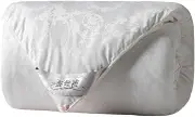 JSEIAJB Handmade Silk Quilt Cool Quilt Air Conditioning Quilt Core Spring and Autumn Quilt(4kg)