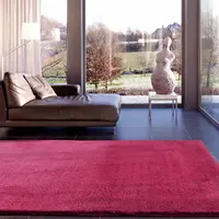 在飛比找PChome24h購物優惠-范登伯格-艾蜜莉☆蓬暖素色長毛地毯-姻紅-140x200cm