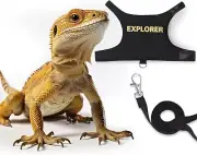 Bearded Dragon Leash and Harness Adjustable - Escape Proof Soft Leather Reptile