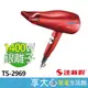 免運 達新牌 吹風機 TS-2969【超取限4支】負離子吹風機 銀離子抗菌 原廠保固【領券蝦幣回饋】