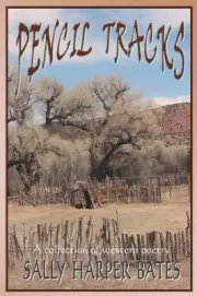 Pencil Tracks by Sally Harper Bates (English) Paperback Book