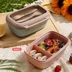 Odorless Stain-resistant Lunch Container Microwave Safe 1000ml Bento Box