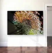 dandelion-dewdrop-flower-close-WALL ARTS SCENERY high quality Canvas home decor