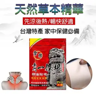 【金牌一條根】金牌金門一條根精油貼布6包共42片-先涼後熱(正宗金門一條根貼布 熱感舒緩 酸痛)