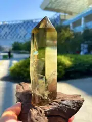 1.39LB top Natural citrine obelisk quartz crystal Tower healing Decor+wood stand