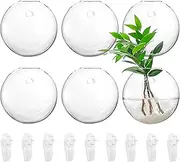 Yarlung 6 Pack Wall Hanging Planters Terrarium, 4.7 Inch Glass Oblate Globe Plants Containers, Wall Mount Clear Flower Vase for Propagating Hydroponics Plants, Air Plants