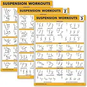 Palace Learning 3 Pack Suspension Workout Posters - Volume 1, 2 & 3 - Exercise Charts (LAMINATED, 18" x 24")