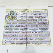 2024 Krewe of Endymion Times Picayune Newspaper Mardi Gras Procession Frameable