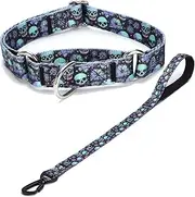 Haoyueer Martingale Collar and Leash Set, Premium No Slip Martingale Collar for Dogs Medium Large, Girl Dog Collars Training (NO26, M)