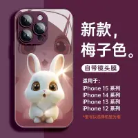 在飛比找蝦皮商城精選優惠-驚喜小兔創意保護殼 自帶鏡頭膜 蘋果15手機殼iPhone1