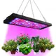 超溥鋁殼40W植物燈多肉花卉育苗LED全光譜植物生長燈