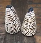 Authentic Shell Salt And Pepper Shaker- Boho Coastal Styling 10