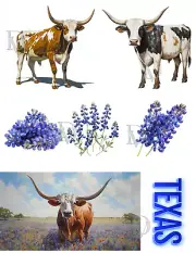 Texas Longhorns & Bluebonnets Collage Supplies Scrapbook Junk Journal Cards