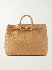[Bottega Veneta] Bottega Veneta - Andiamo Small Embellished Intrecciato Leather Tote - Light brown - One size One size Brown