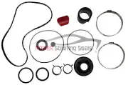 POWER STEERING RACK AND PINION SEAL KIT FITS FORD FLEX 2010-2012 EPS (for: Ford)