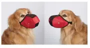 FABRIC MESH DOG MUZZLES Comfortable Soft Red Muzzle for Dogs That Bite or Chew