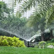 2 Pcs Sprinkler System Head Underground Garden Irrigation Lawn Spray Small