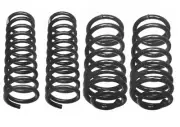 Lesjofors Front & Rear Coil Spring Kit For Ford Fairmont Mercury Zephyr With AC (for: Ford)