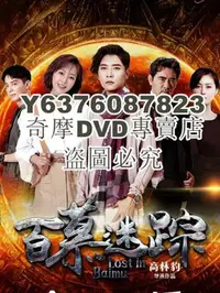 在飛比找Yahoo!奇摩拍賣優惠-DVD影片專賣 2023大陸劇 百慕迷蹤/Lost in B