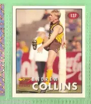 1996 AFL SELECT STICKER #137 ANDREW COLLINS, HAWTHORN HAWKS