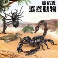 在飛比找樂天市場購物網優惠-【晴晴百寶盒】遙控電動仿真動物 亞馬遜惡搞玩具 蝎子螃蟹黑蜘