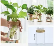 1 Pc New Mini Hydroponic Flower Pot/Terrarium Glass/Vase Garden Living Room