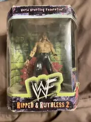 Triple H Hunter Hearst Helmsley WWE Jakks Ripped And Ruthless Series 2 MOC WWF