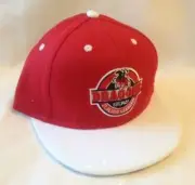 ST GEORGE DRAGONS NRL TEAM LOGO INSIGNIA YOUTH FLAT PEAK SNAP BACK HAT CAP