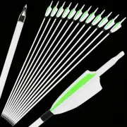Archery Carbon Arrows Fluorescent Targeting Practice Hunting Arrows with Removab