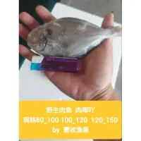 在飛比找蝦皮購物優惠-🇹🇼豐收漁業🇹🇼野生超鮮肉魚🌈肉鯽吖🌈肉鯽魚 “”前鎮漁業加